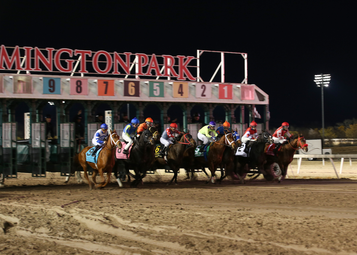 Jeff Siegel Horse Racing Picks Xpressbet